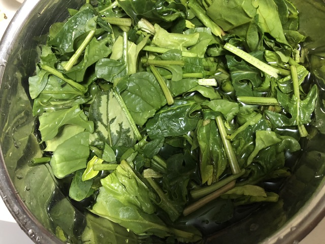 ほうれん草